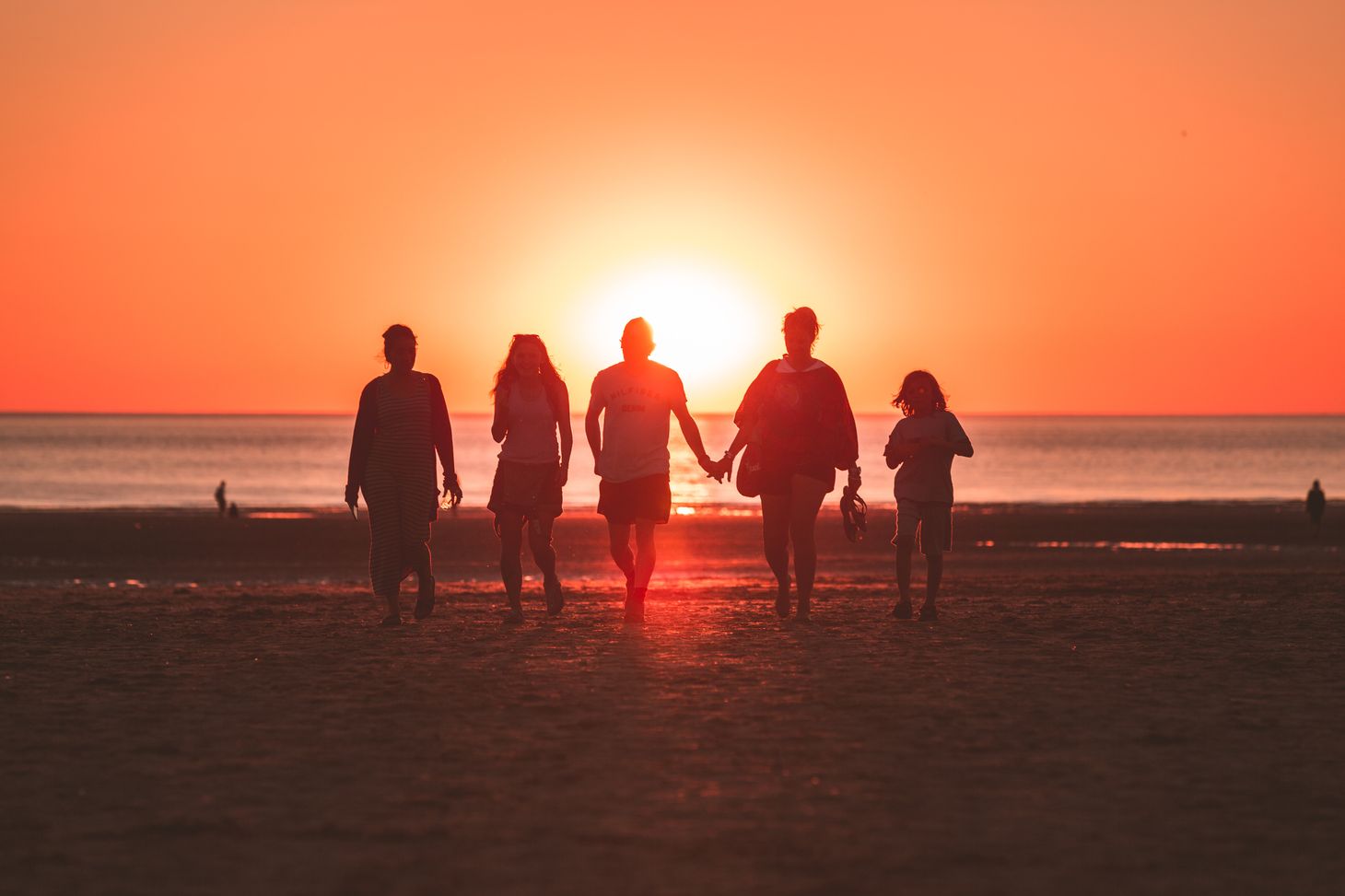 Internal Family Systems Basics